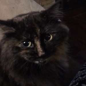 Meet your Posher, Natasha